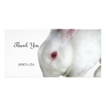 Alice's rabbit customized photo card
