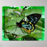 aLiEn and a Butterfly! Posters