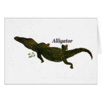 Aligator