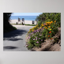 ALISO BEACH PRINT