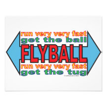 All about Flyball Personalized Invite