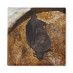 All alone fridge magnet