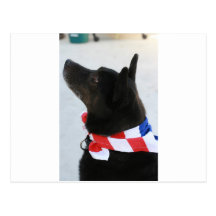 All American Post Card