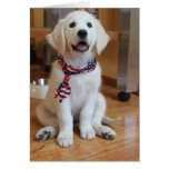 All American Puppy, the cutest Patriot Card