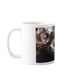 All Caught Up Mugs