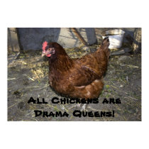 All Chickens are Drama Queens! posters