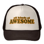All Kinds Of Awesome Hat