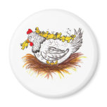 All my chickens magnets