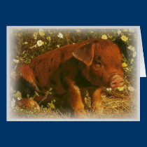 All Occasion Greeting card cards