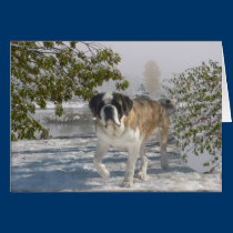 All occasion gretting card cards