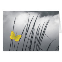All purpose Card