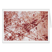 all rosy cards