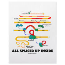 All Spliced Up Inside (RNA Splicing)