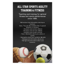 All Star Sports Balls w/ Brick Wall Flyer