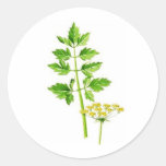All you need is Lovage Sticker