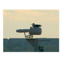 All Your Base are Belong to Us Post Cards