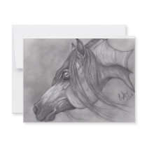 Allah's Grace Arabian Horse