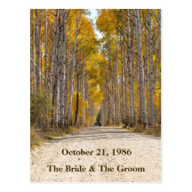 Allée d'Aspen en cartes postales de mariage d'auto
