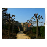 allée de parc cartes