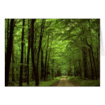 Allegheny National Park, Pennsylvania Greeting Card