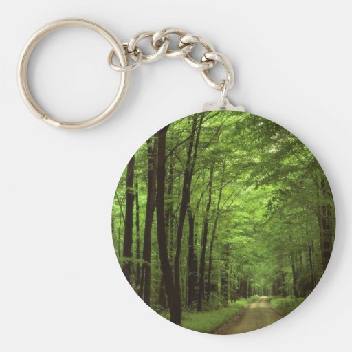 Allegheny National Park, Pennsylvania Keychains