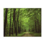Allegheny National Park, Pennsylvania Postcard