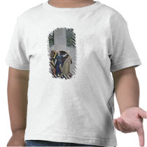 Allegorical scene t-shirts