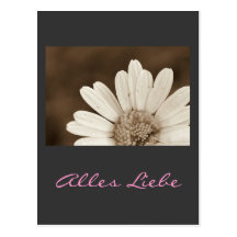 Alles Liebe (Marguerites I) Postcard