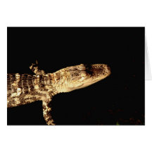 Alligator #1 greeting card
