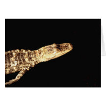 Alligator #2 card