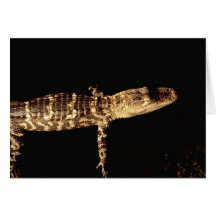 Alligator #3 card