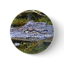 Alligator Button
