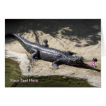 Alligator Cancer Card