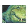 Alligator Christmas Card Post Cards