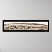 Alligator Farm Florida Photo 1910 Print