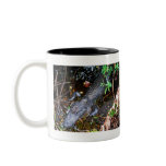 Alligator mugs