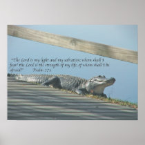 Alligator Scripture Posters