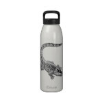Alligator Water Bottle