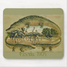 Alligators at Ostrich Farm mousepad