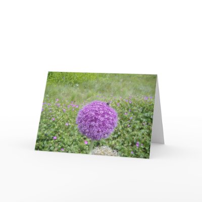 ALLIUM BLOOM GREETING CARDS by dequilla