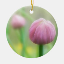 Allium Schoenoprasum - Chive bud Christmas Tree Ornament