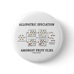 Allopatric Speciation Amongst Fruit Flies