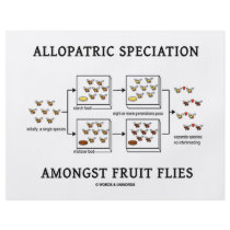 Allopatric Speciation Amongst Fruit Flies