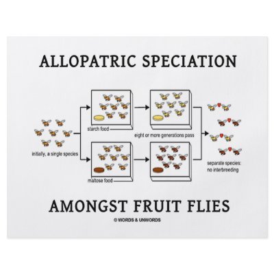 Allopatric Speciation Amongst Fruit Flies by wordsunwords