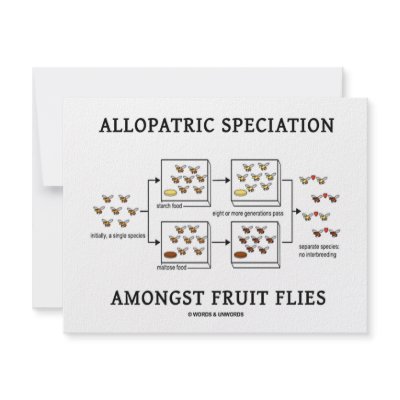 Allopatric Speciation Amongst Fruit Flies by wordsunwords