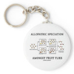 Allopatric Speciation Amongst Fruit Flies