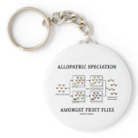 Allopatric Speciation Amongst Fruit Flies