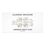 Allopatric Speciation Amongst Fruit Flies Photo Card