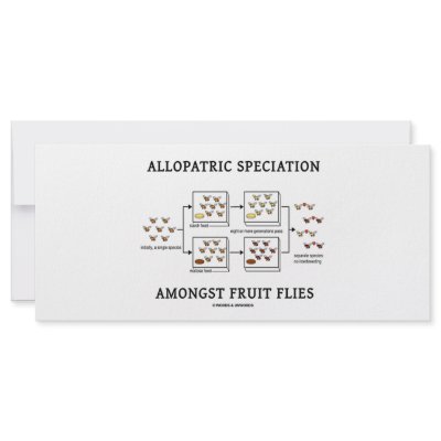 Allopatric Speciation Amongst Fruit Flies by wordsunwords