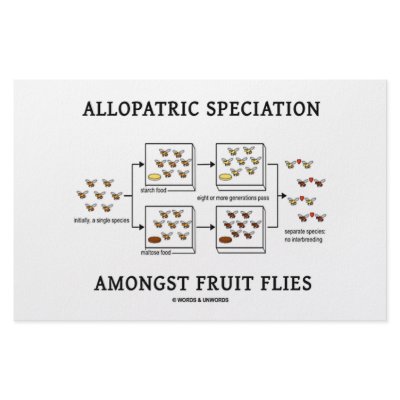Allopatric Speciation Amongst Fruit Flies by wordsunwords